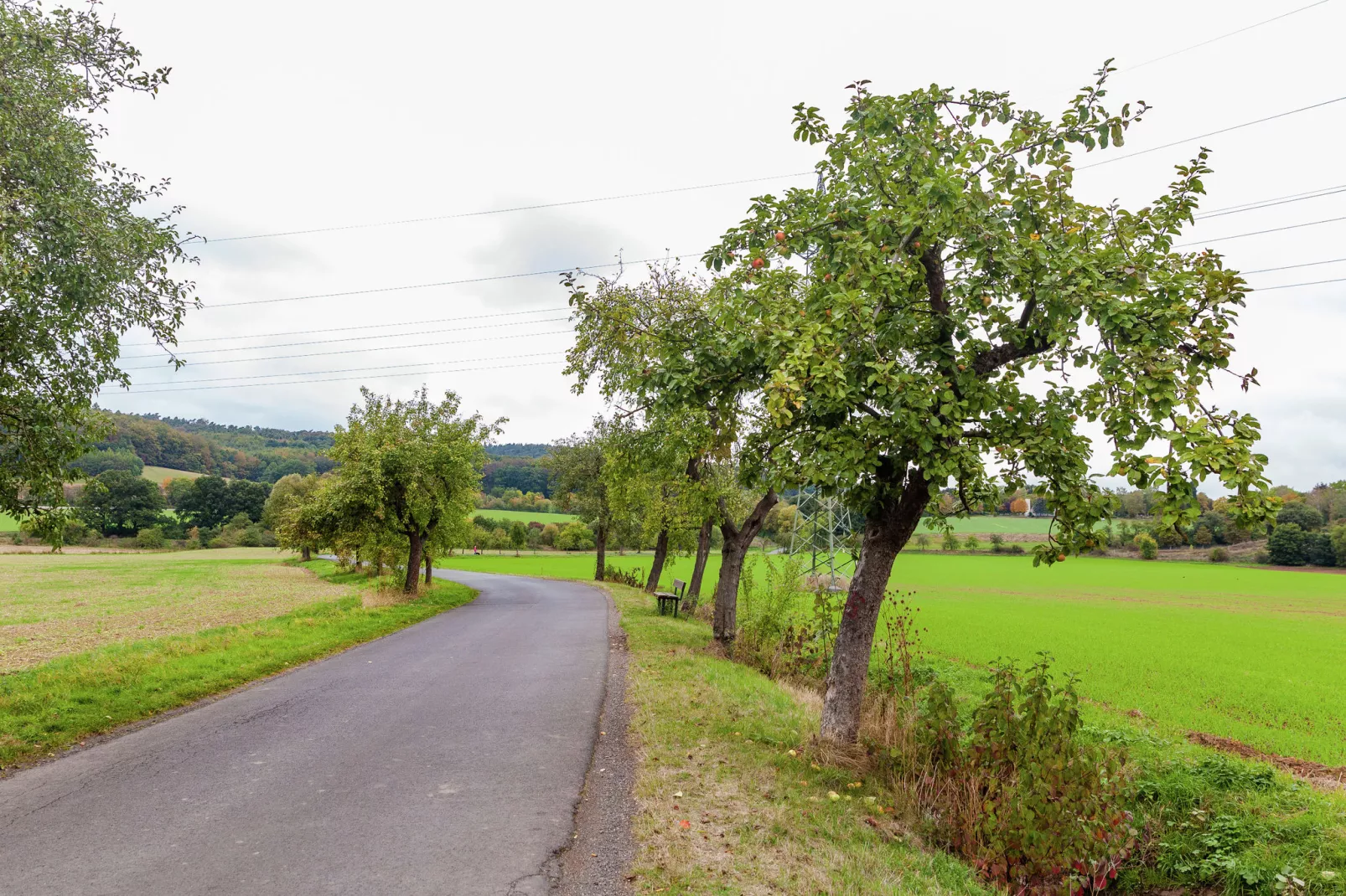 Im Kellerwald-Gebieden zomer 1km