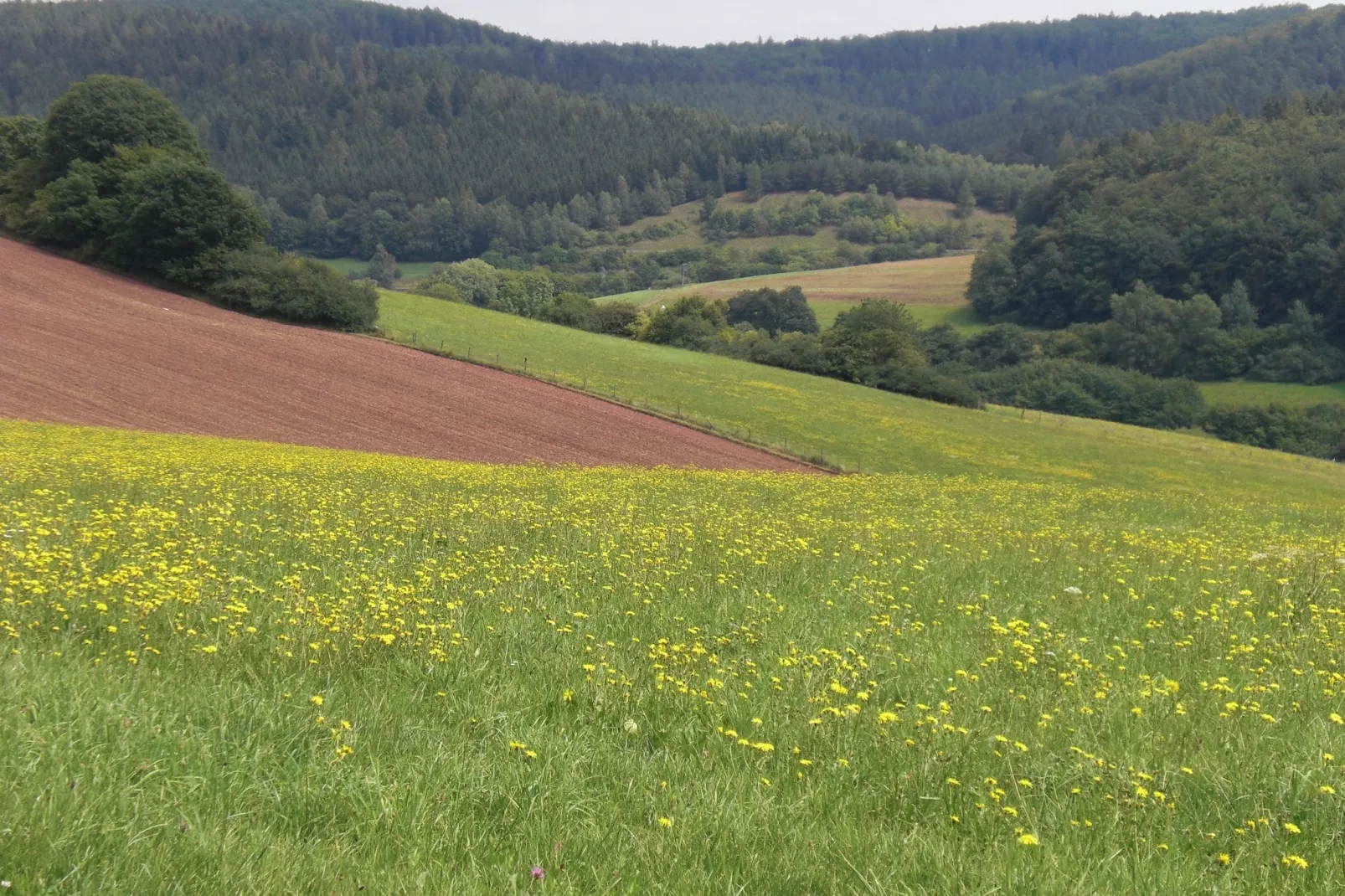 Im Knüllgebirge-Gebieden zomer 1km