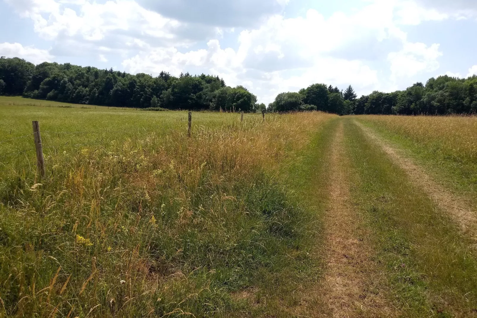 Hohe Rhön-Gebieden zomer 5km