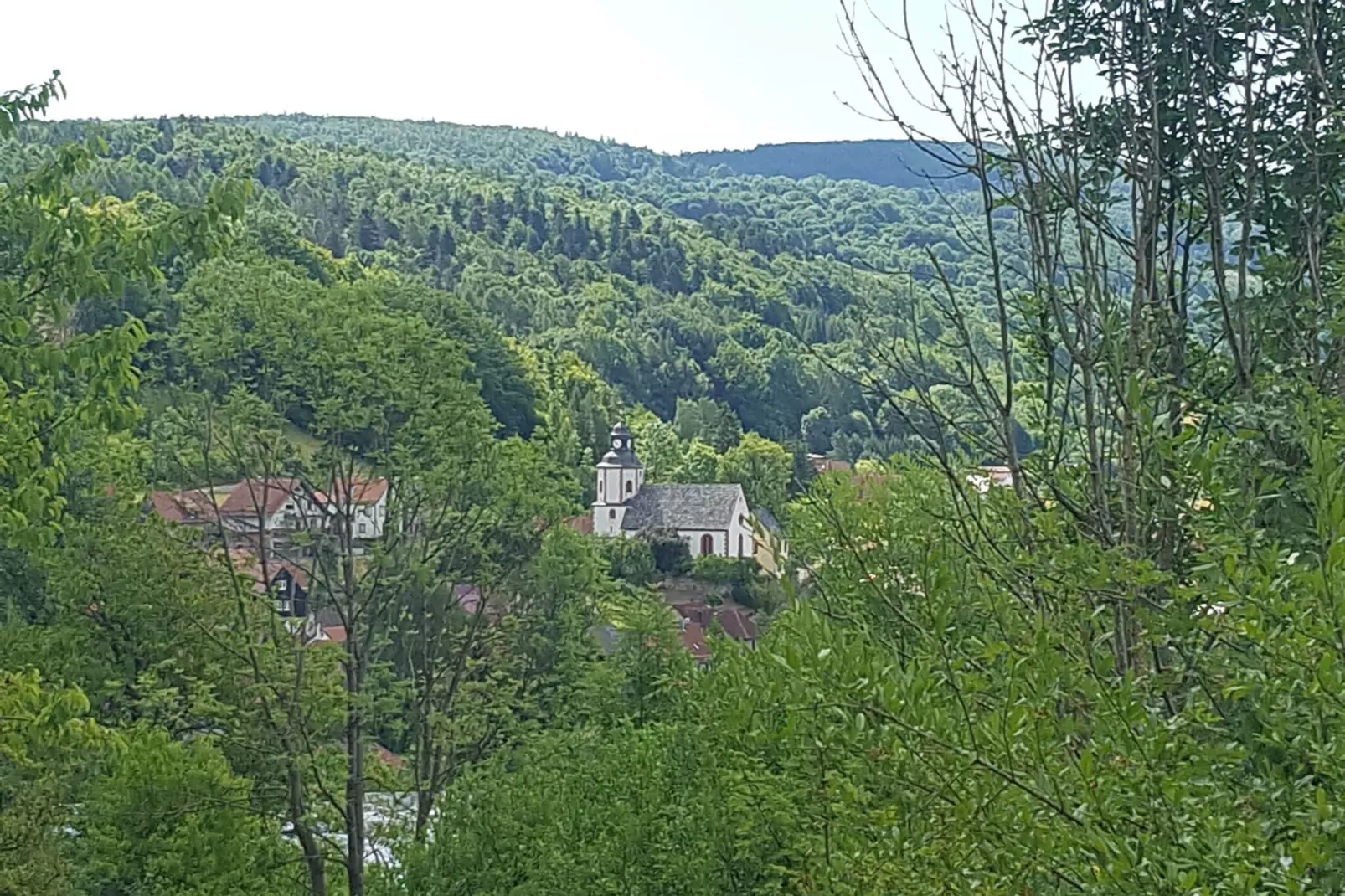 Hohe Rhön-Gebieden zomer 20km