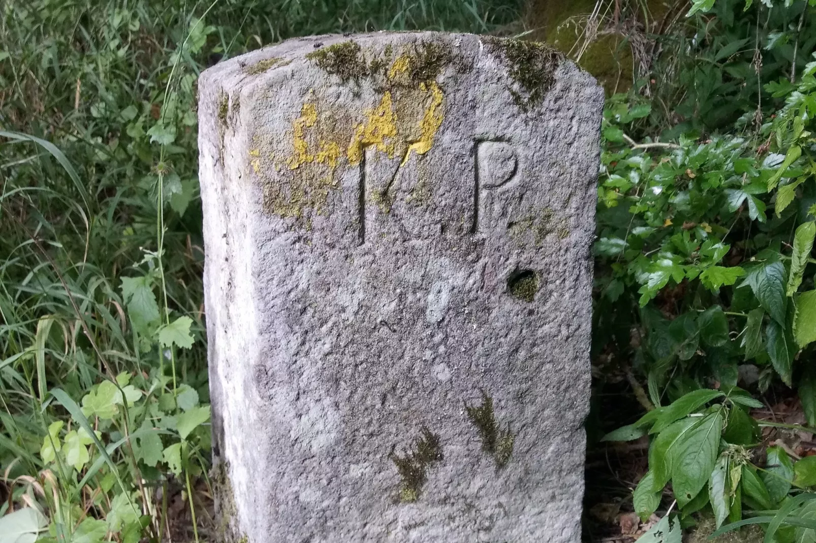 Hohe Rhön-Gebieden zomer 20km