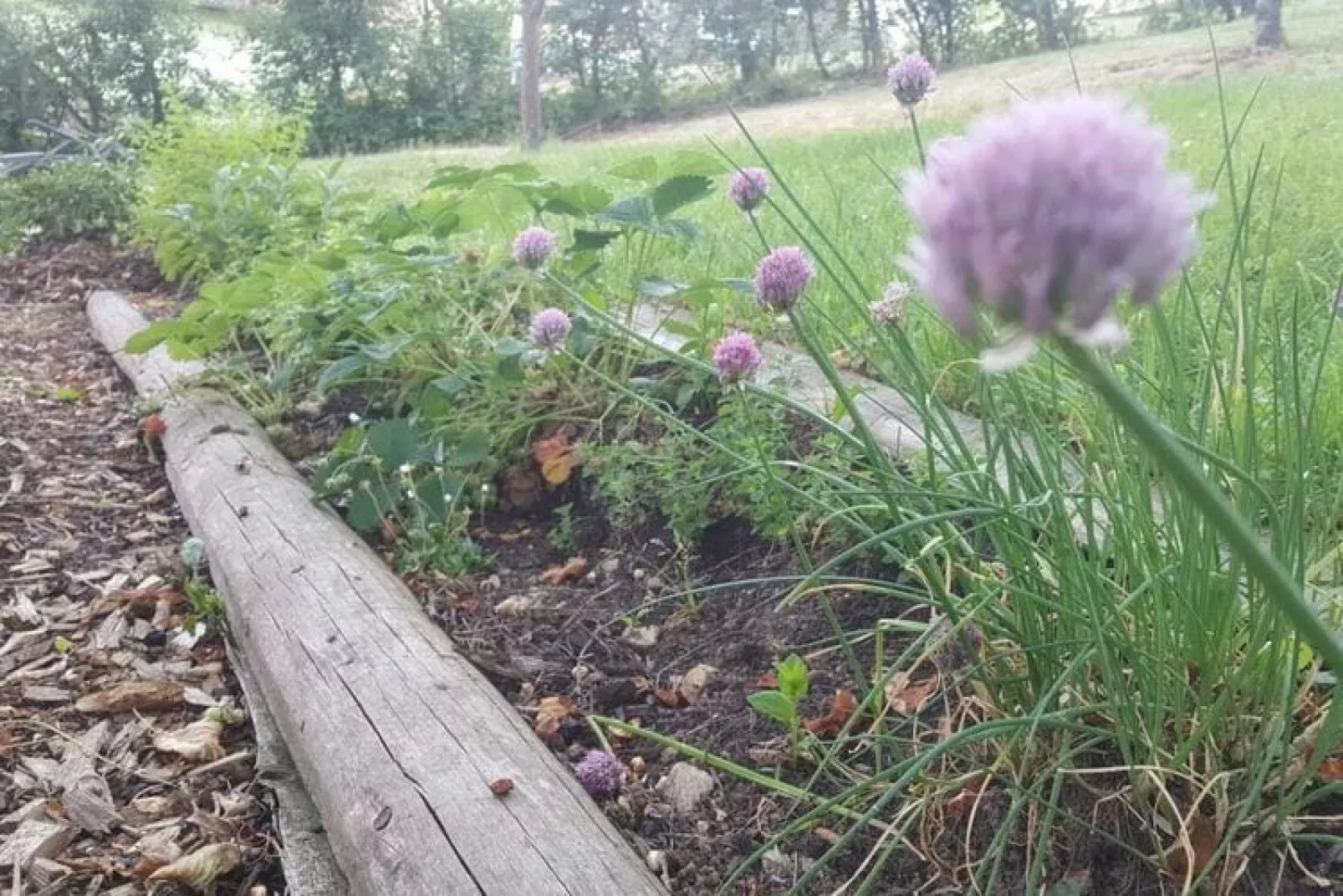 Hohe Rhön-Niet-getagd