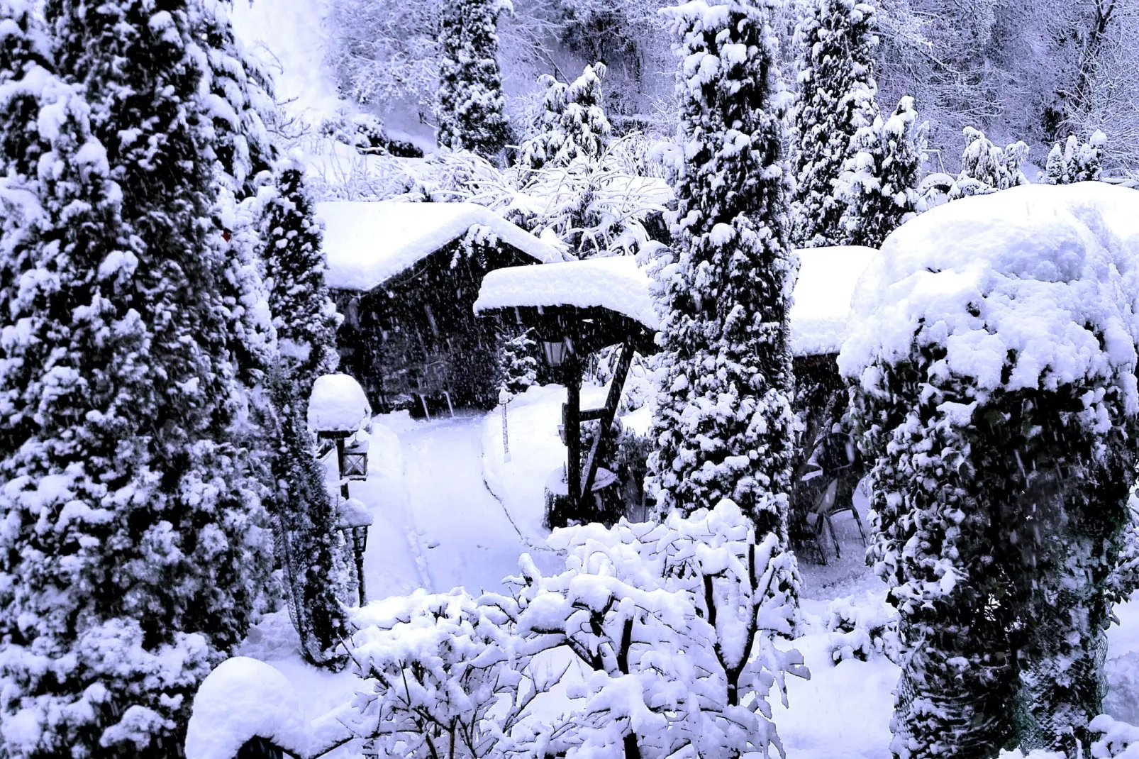Herzberg am Harz-Tuin winter