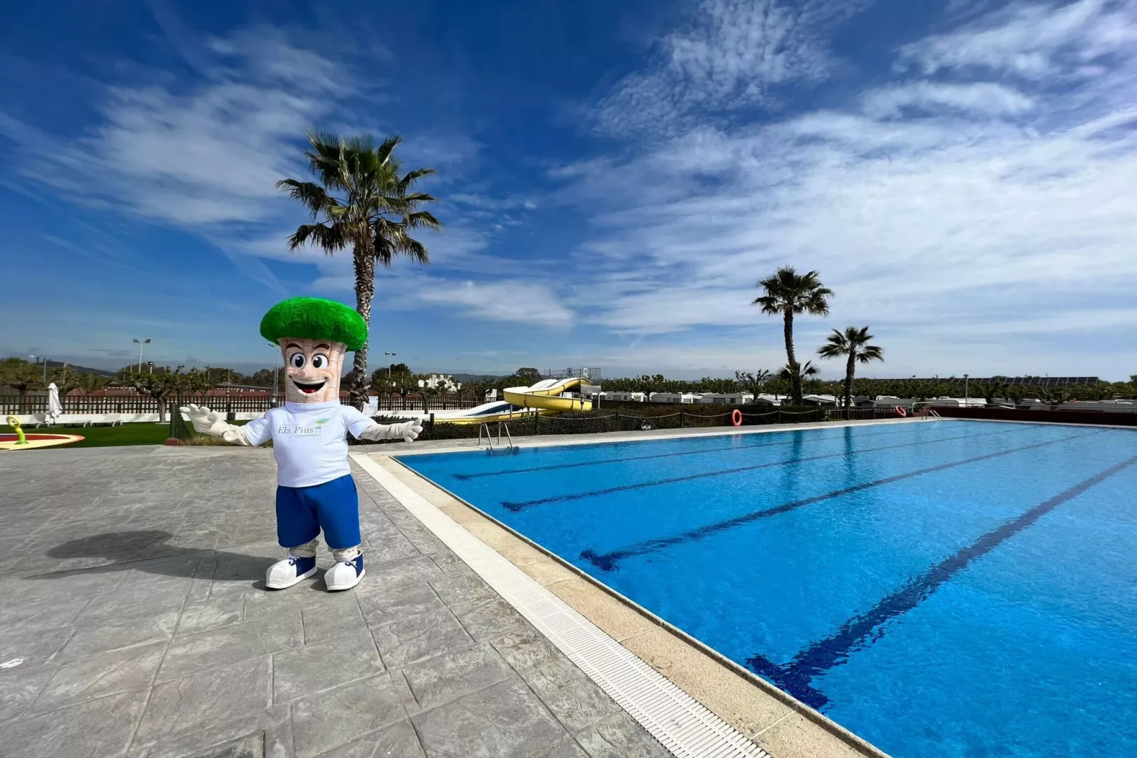 poolofhouse