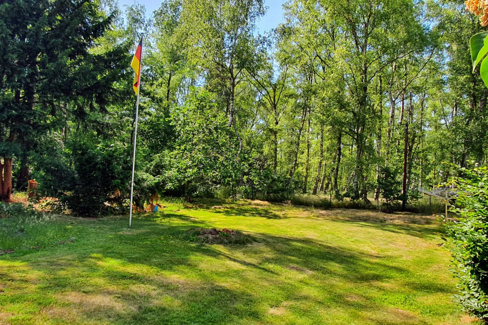 Fewo Goslar Harz-Tuinen zomer