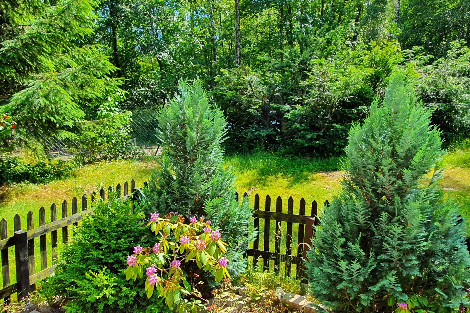 Fewo Goslar Harz-Uitzicht zomer