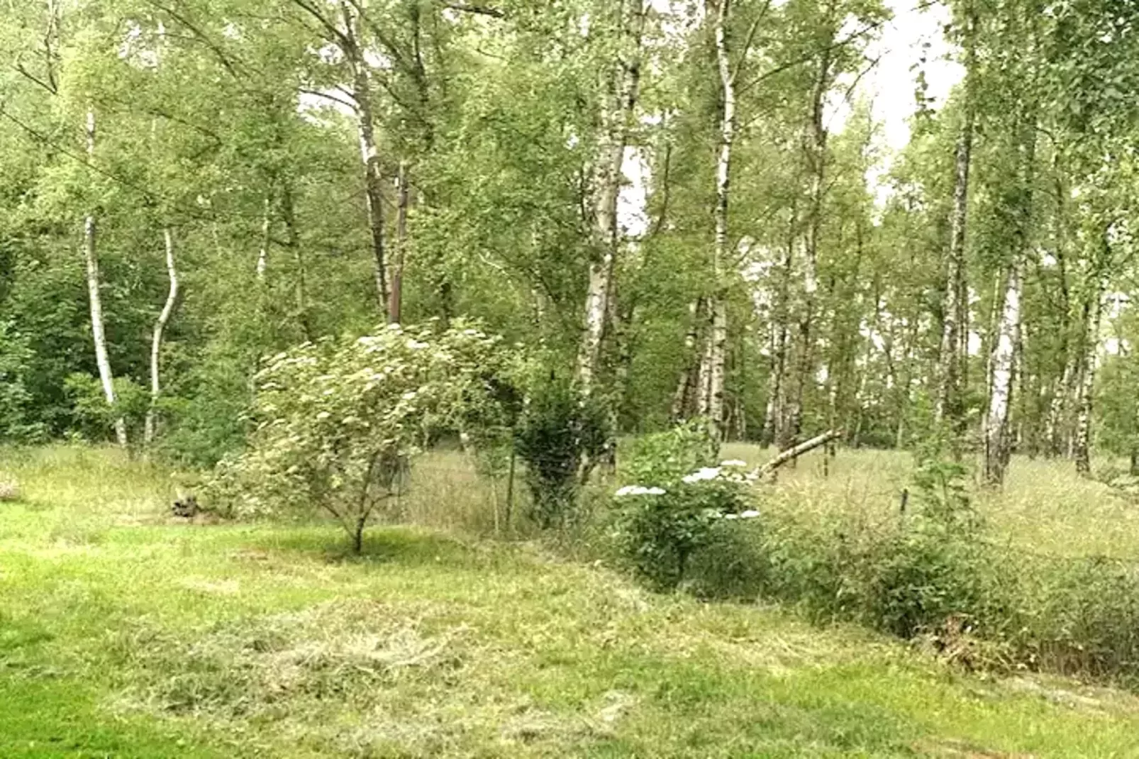 Fewo Goslar Harz-Uitzicht zomer