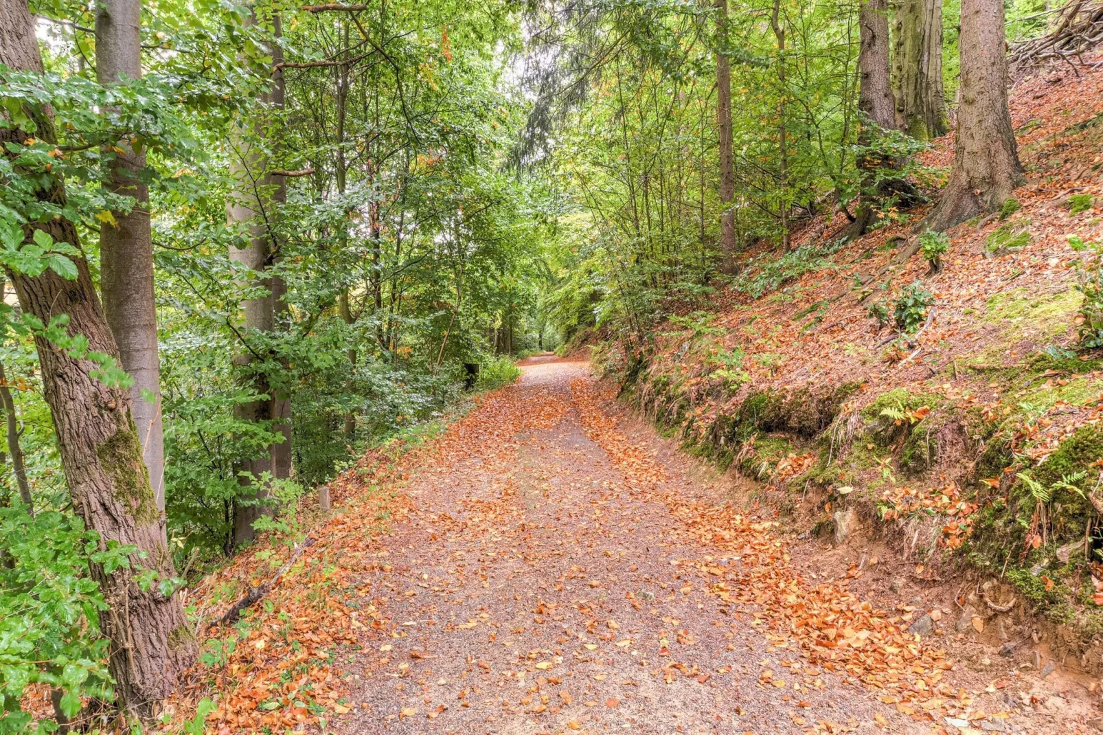 Historisches Waldhaus-Gebieden zomer 1km