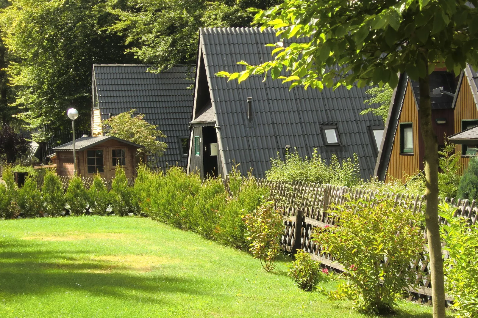 Ferienpark am Waldsee 1-Uitzicht zomer