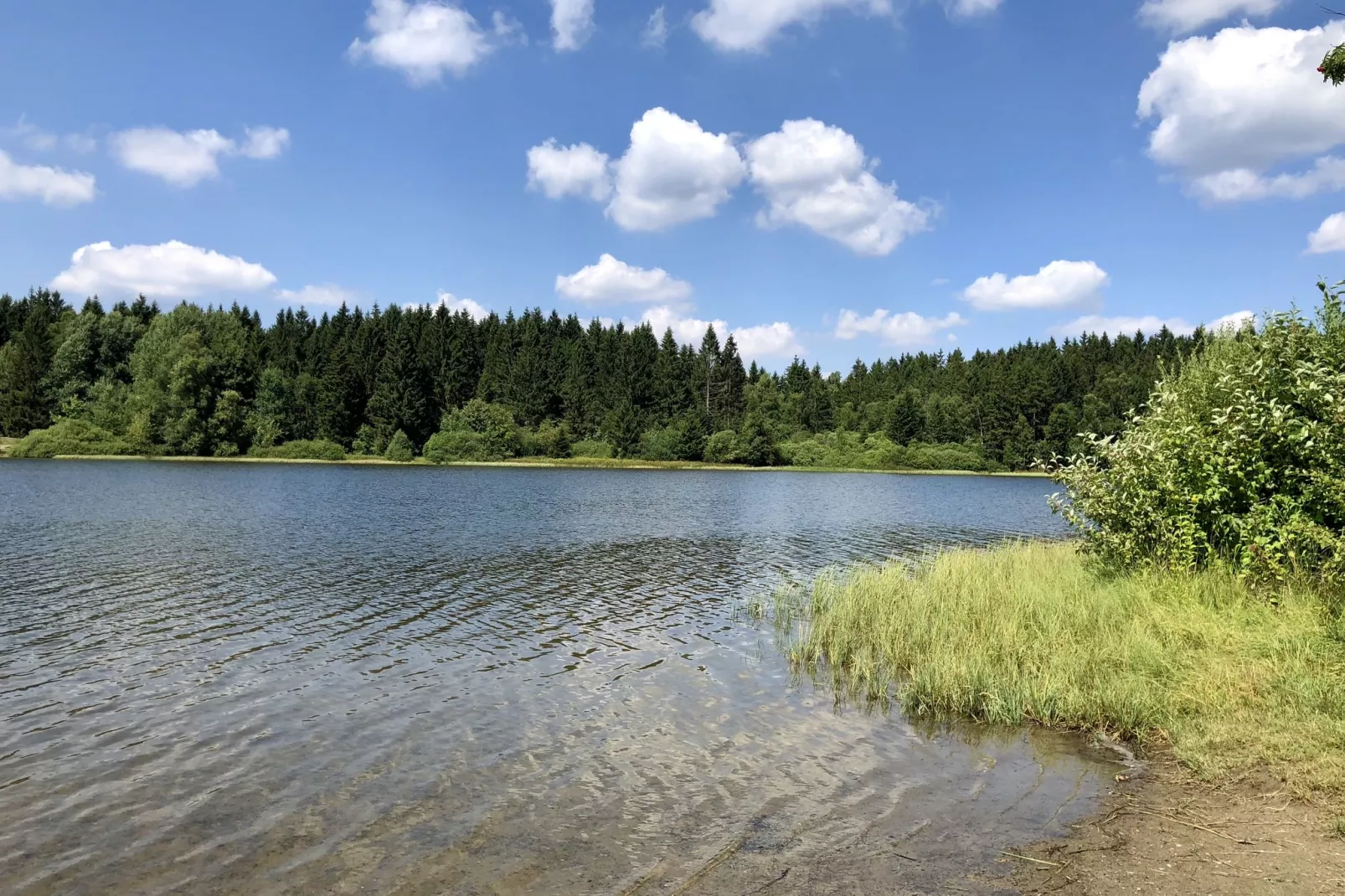 Ferienpark am Waldsee 1-Gebieden zomer 1km