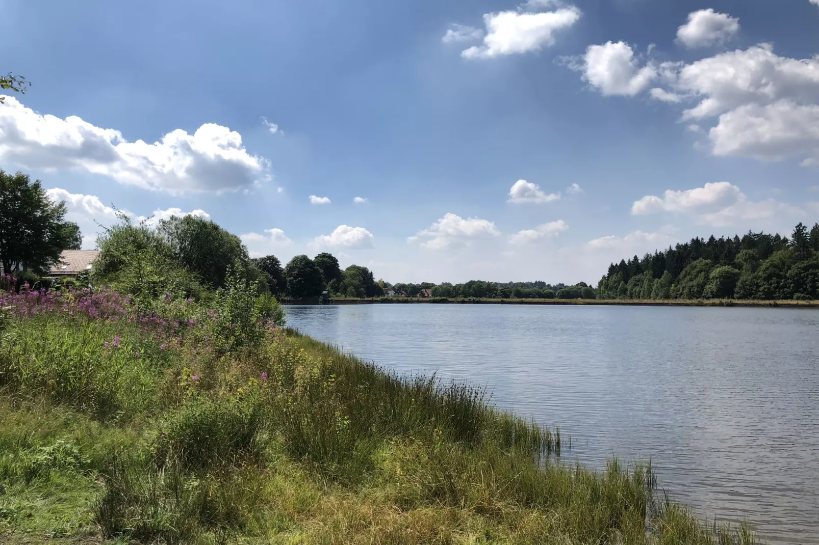 Ferienpark am Waldsee 1-Gebieden zomer 1km