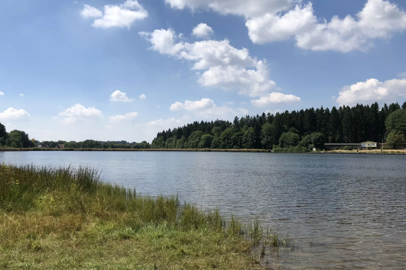 Ferienpark am Waldsee 1-Gebieden zomer 1km