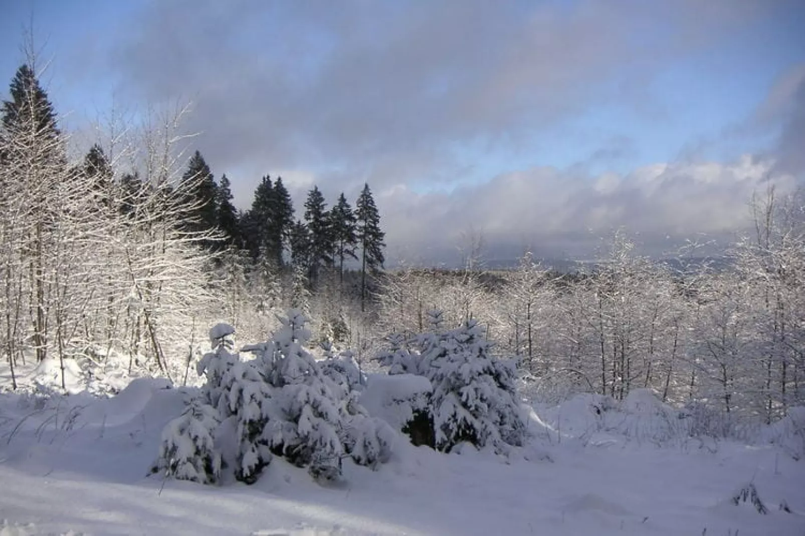 Ferienpark am Waldsee 1-Gebied winter 5km