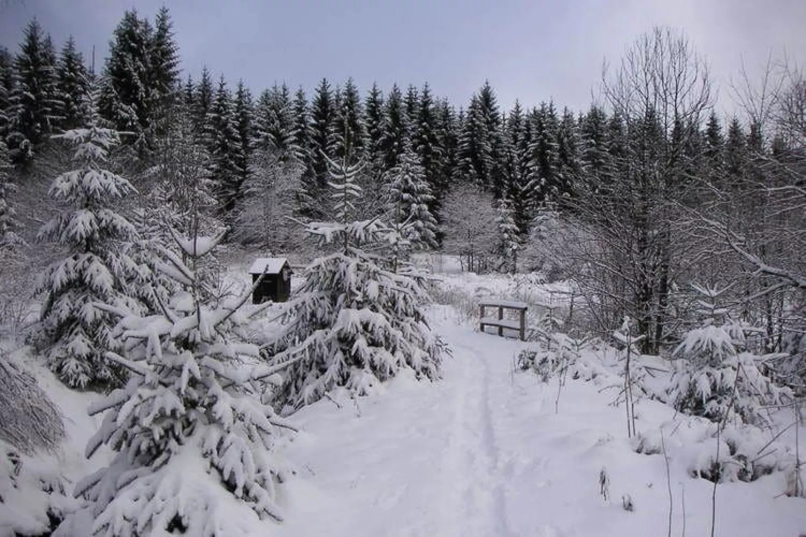 Ferienpark am Waldsee 1-Gebied winter 5km