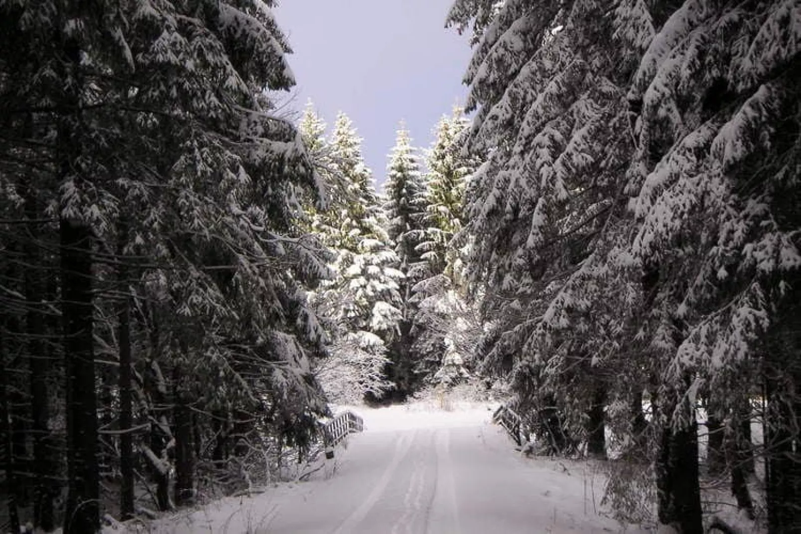 Ferienpark am Waldsee 1-Gebied winter 5km