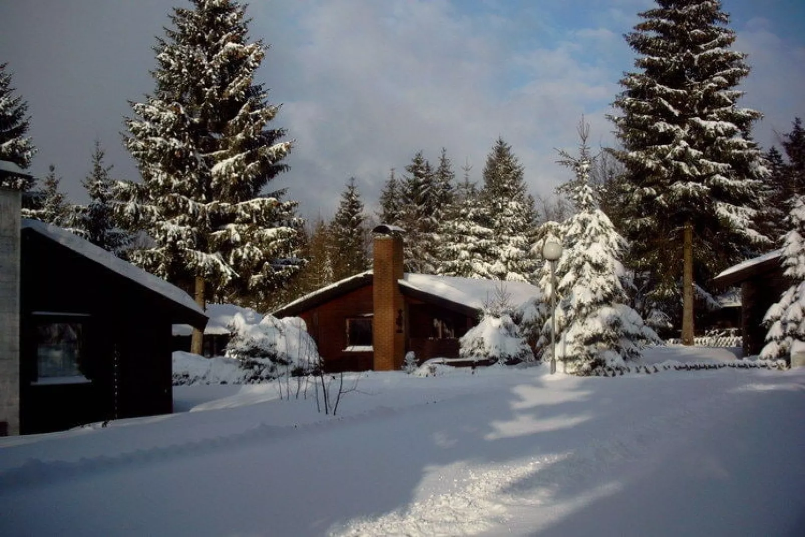 Ferienpark am Waldsee 2-Exterieur winter