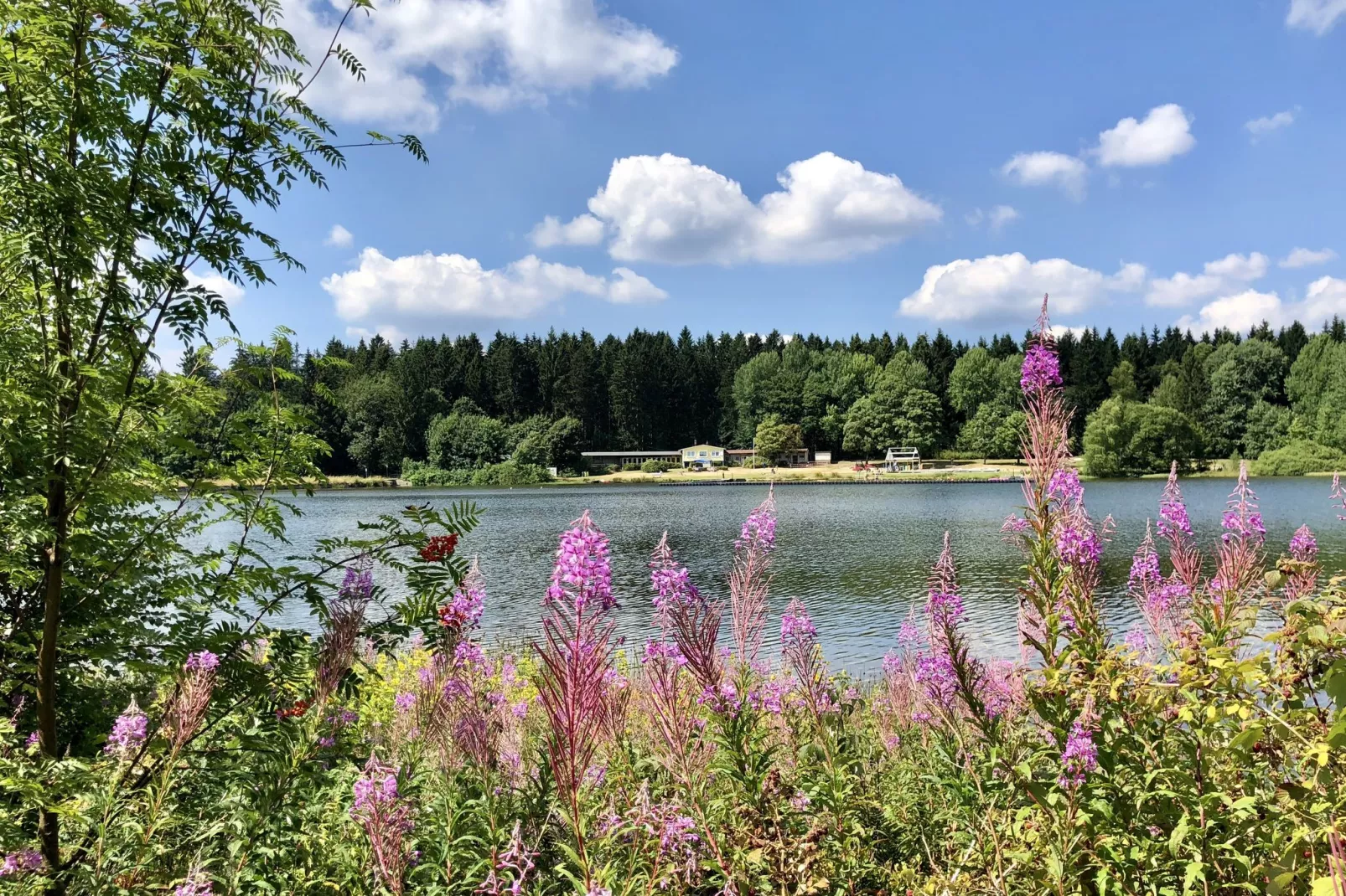 Ferienpark am Waldsee 2-Gebieden zomer 1km