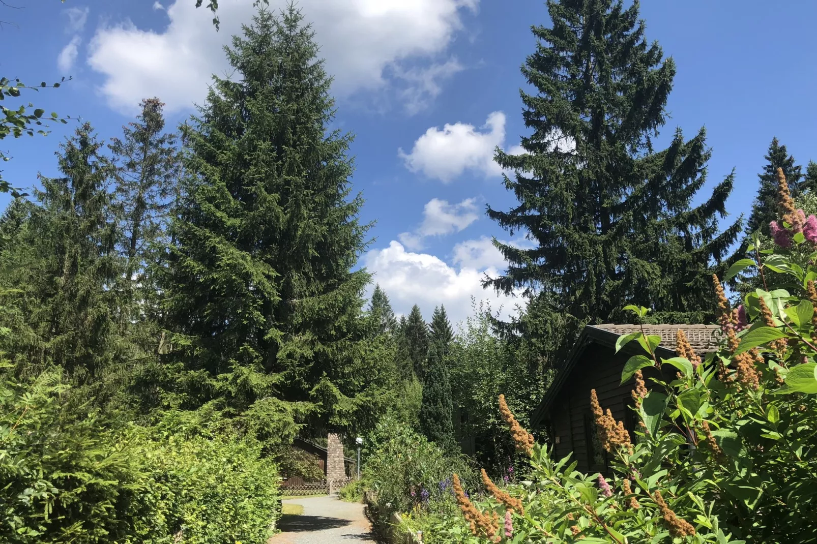 Ferienpark am Waldsee 1 - Haustierfrei-Gebieden zomer 1km