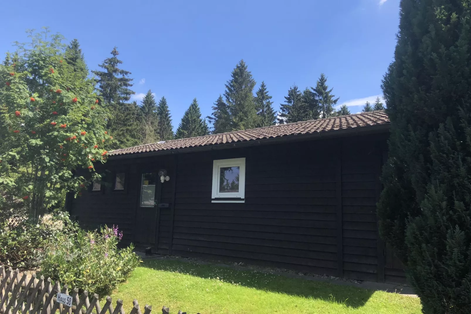 Ferienpark am Waldsee 2 - Haustierfrei-Buitenkant zomer