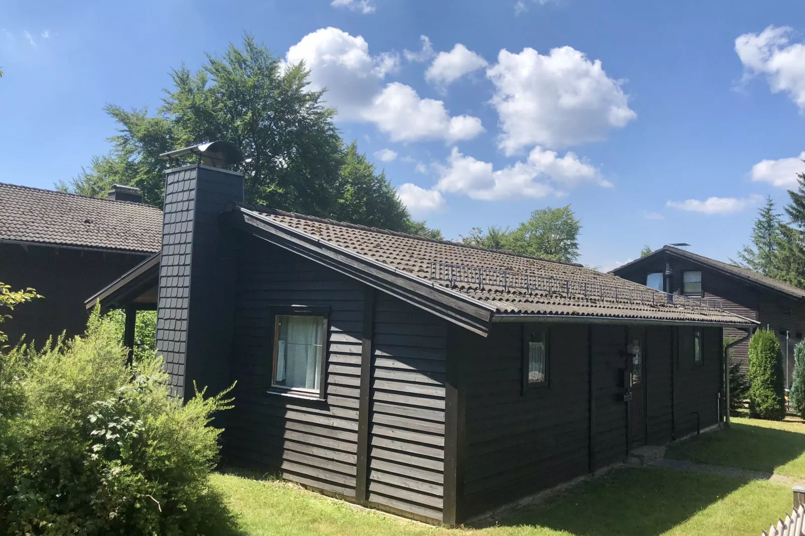 Ferienpark am Waldsee 2 - Haustierfrei-Buitenkant zomer