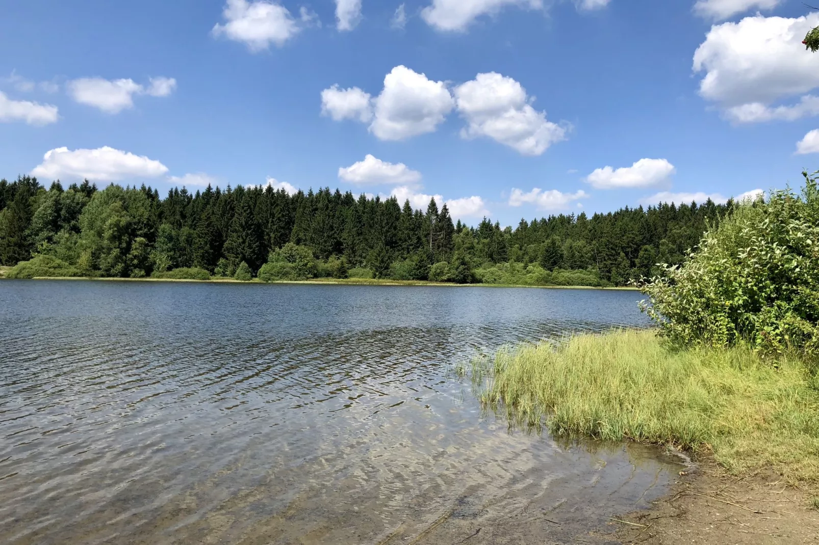 Ferienpark am Waldsee 2 - Haustierfrei-Gebieden zomer 1km