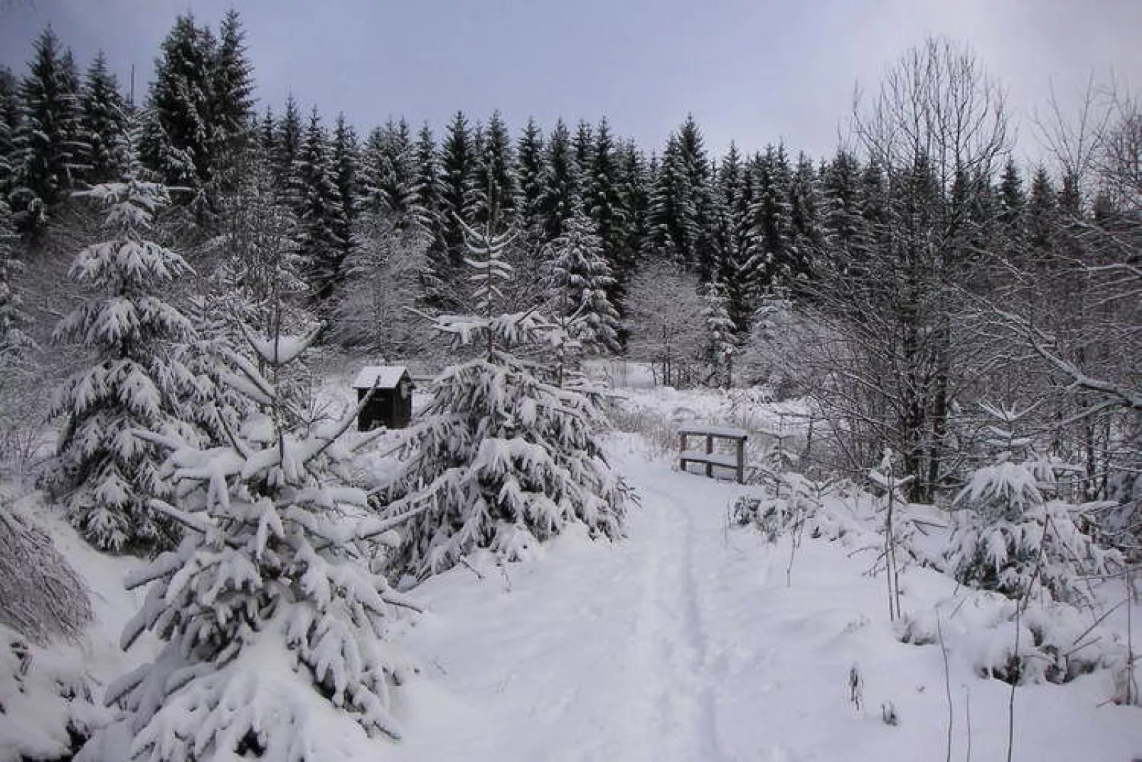 Ferienpark am Waldsee 2 - Haustierfrei-Gebied winter 5km