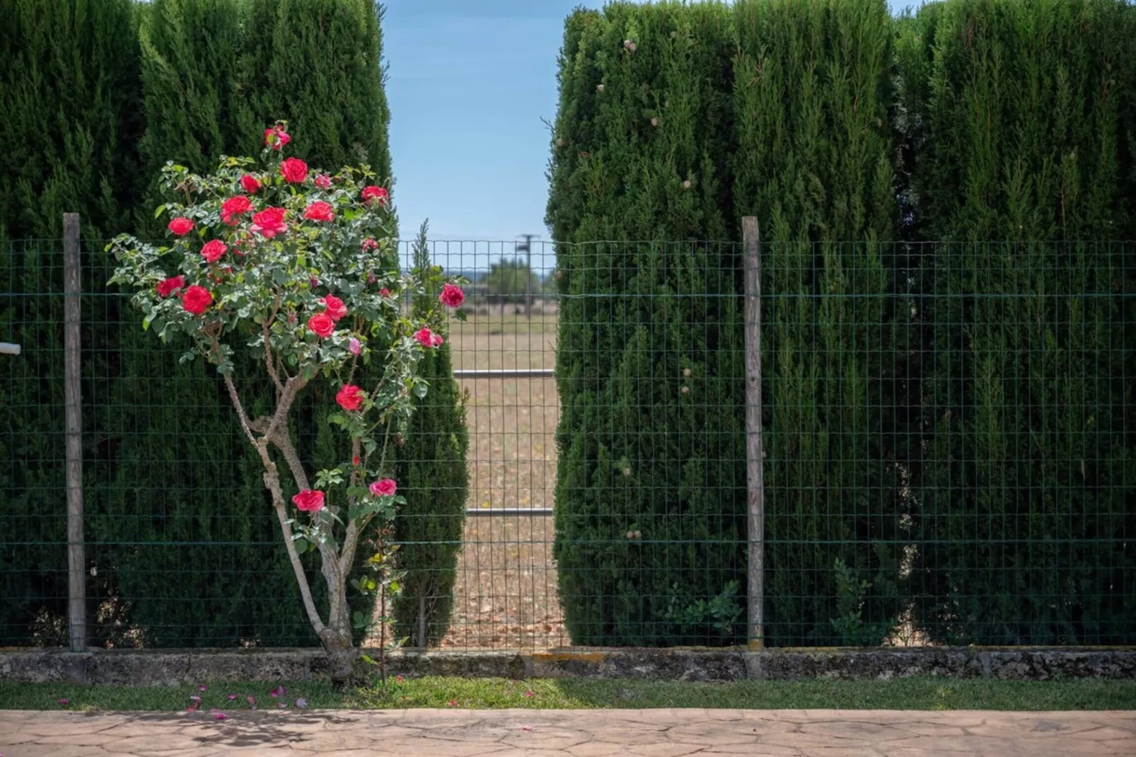 Can Grau Petit-Tuinen zomer