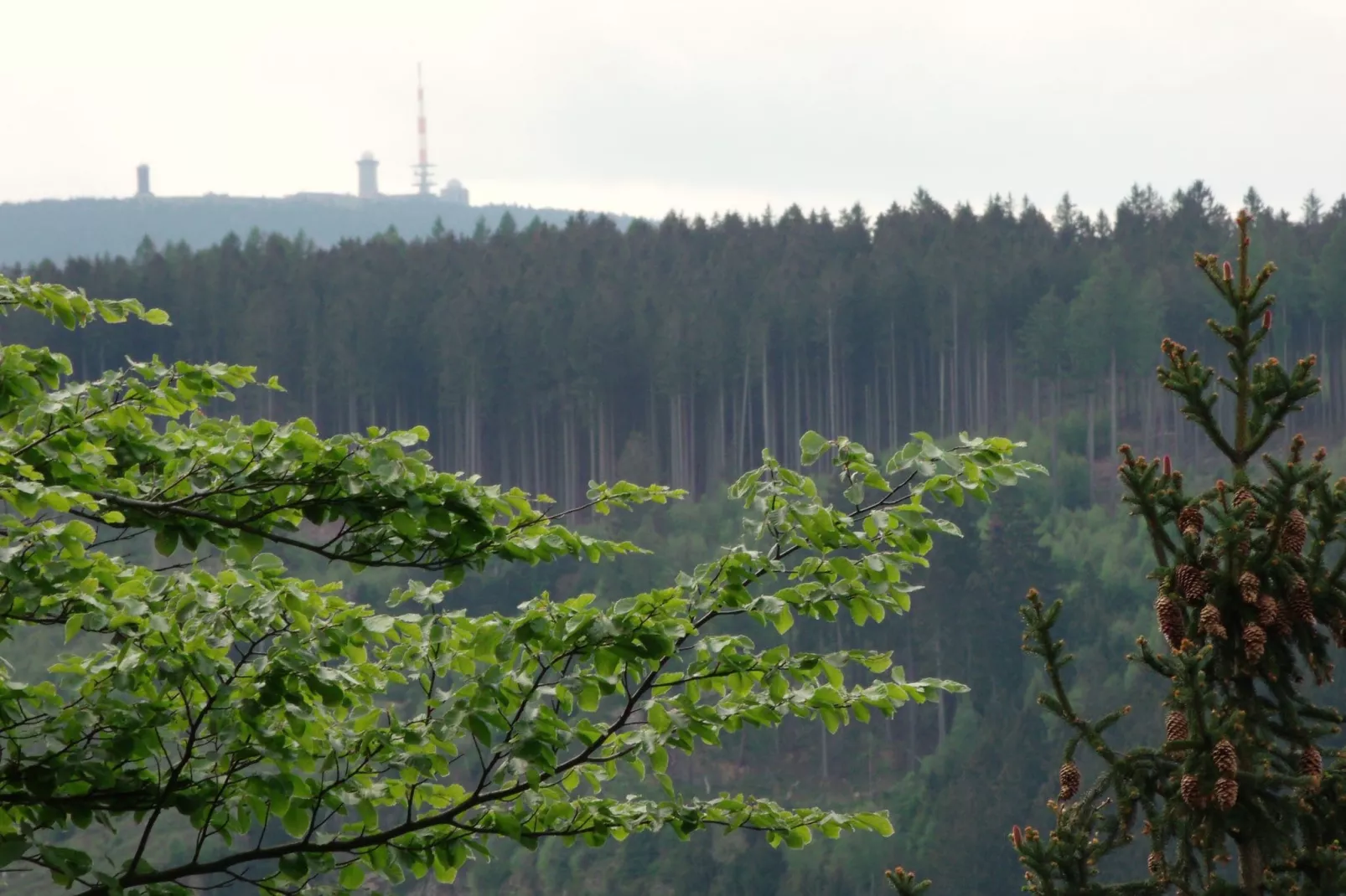 Sternenblick-Gebieden zomer 5km