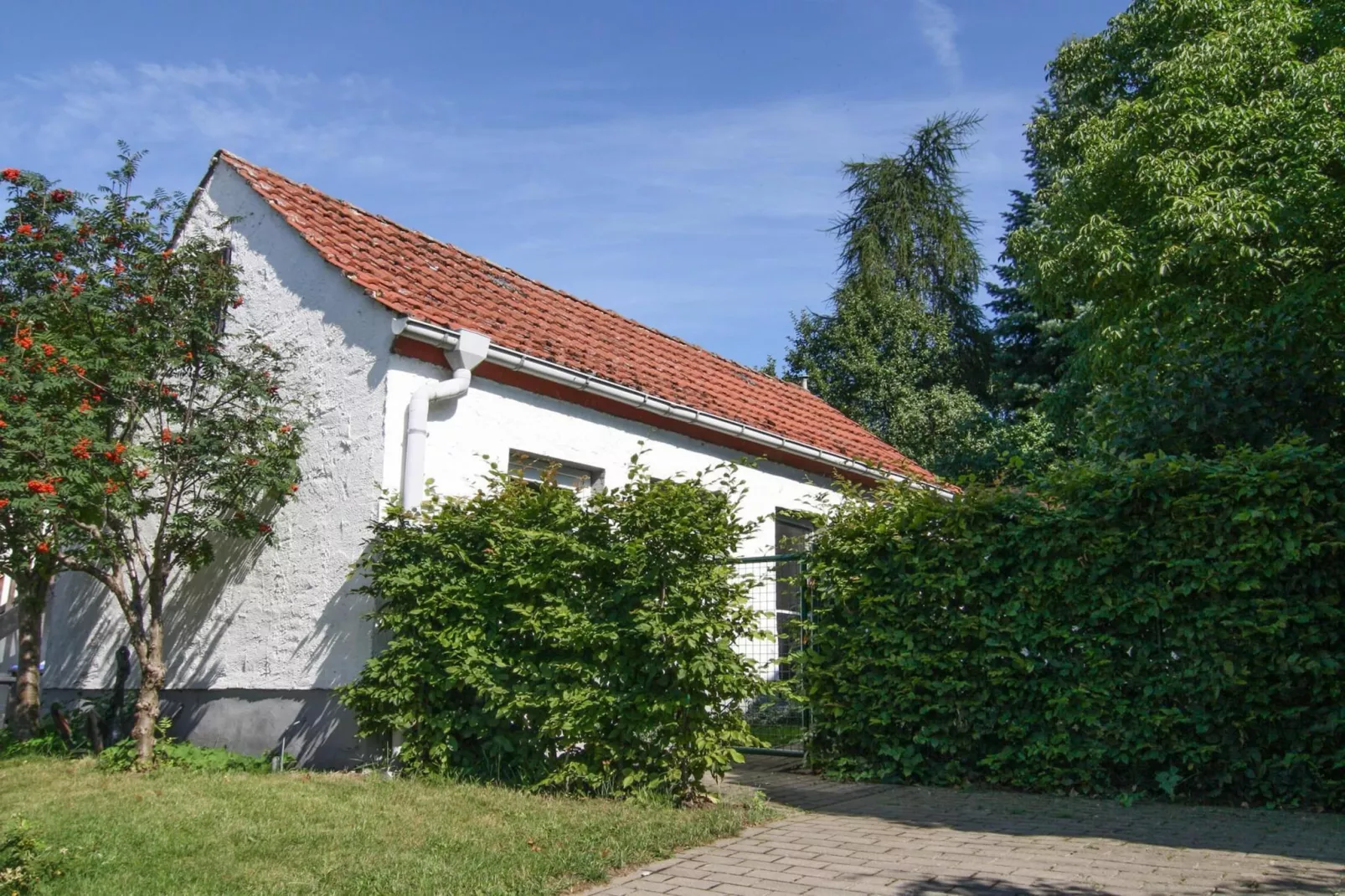 Ferienhaus Gänseblümchen-Buitenkant zomer