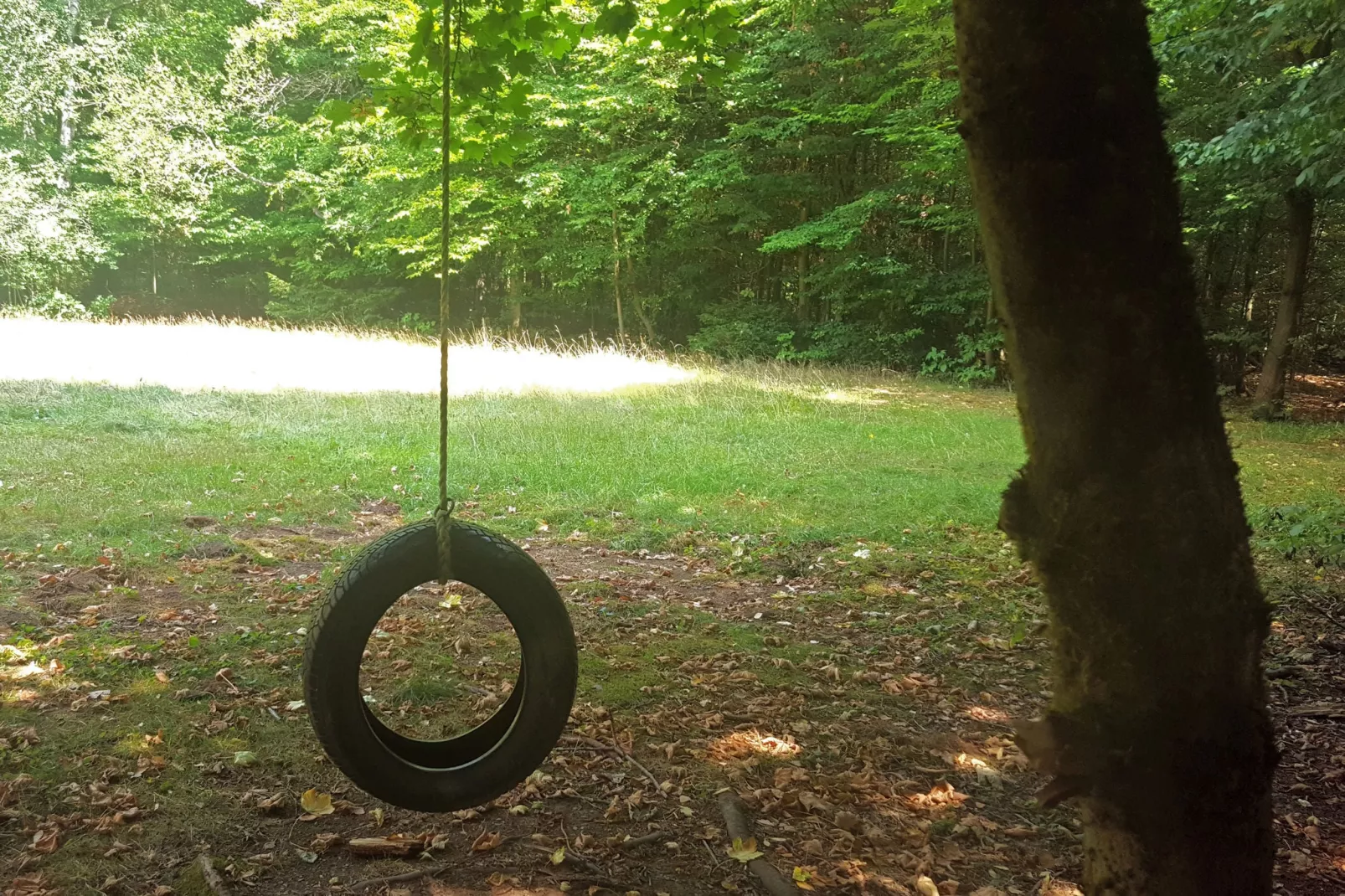 Waldferienhaus-Tuinen zomer