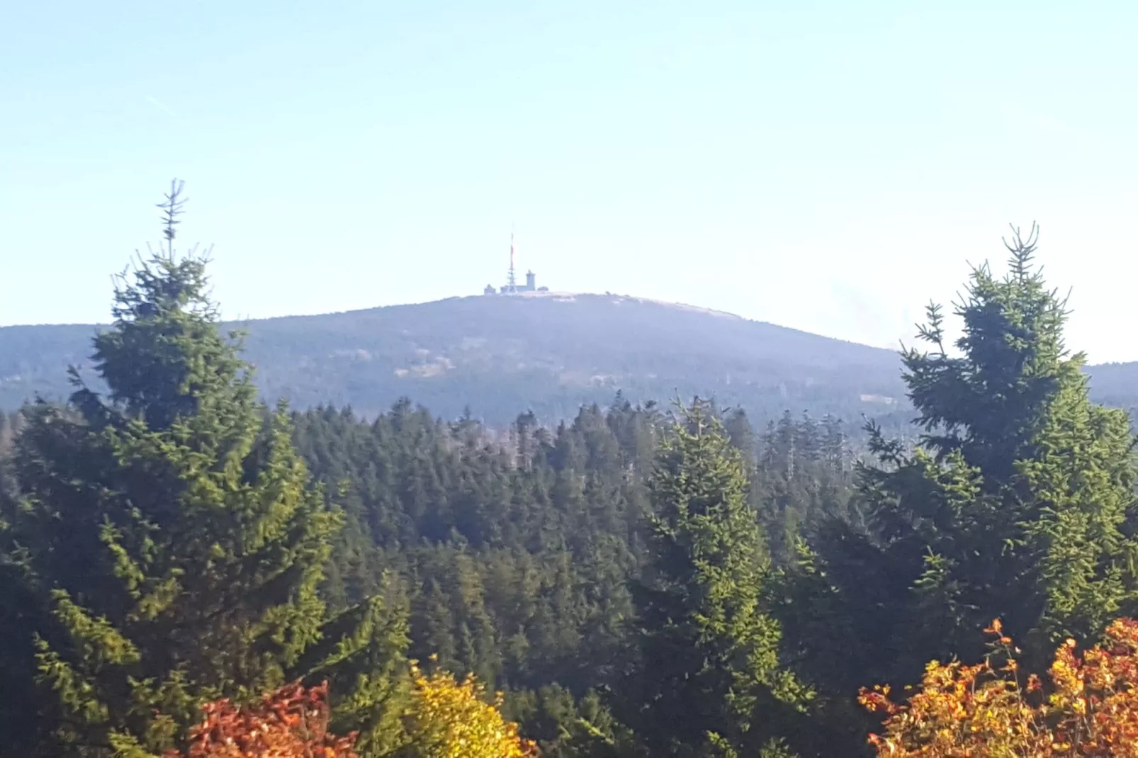 Waldferienhaus-Gebieden zomer 5km