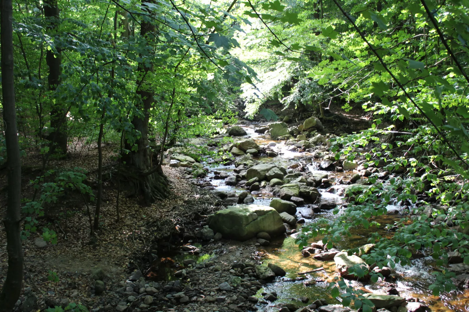 Haus Buchberg-Gebieden zomer 5km