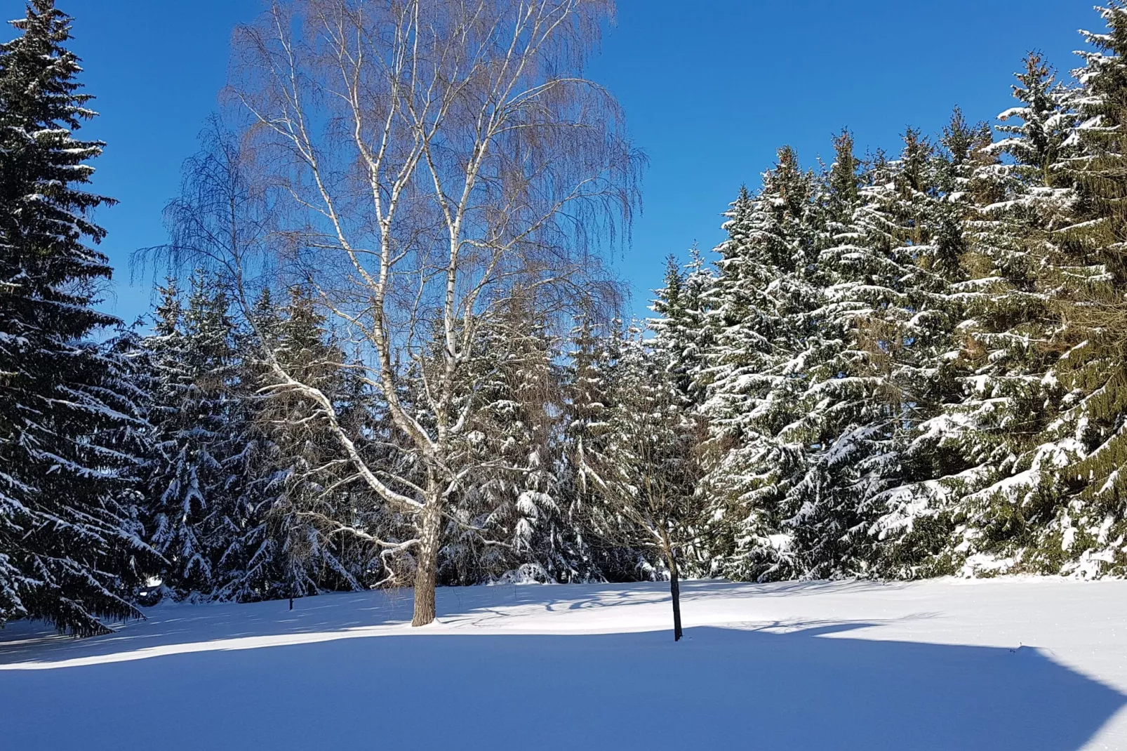 Benneckenstein-Gebied winter 1km