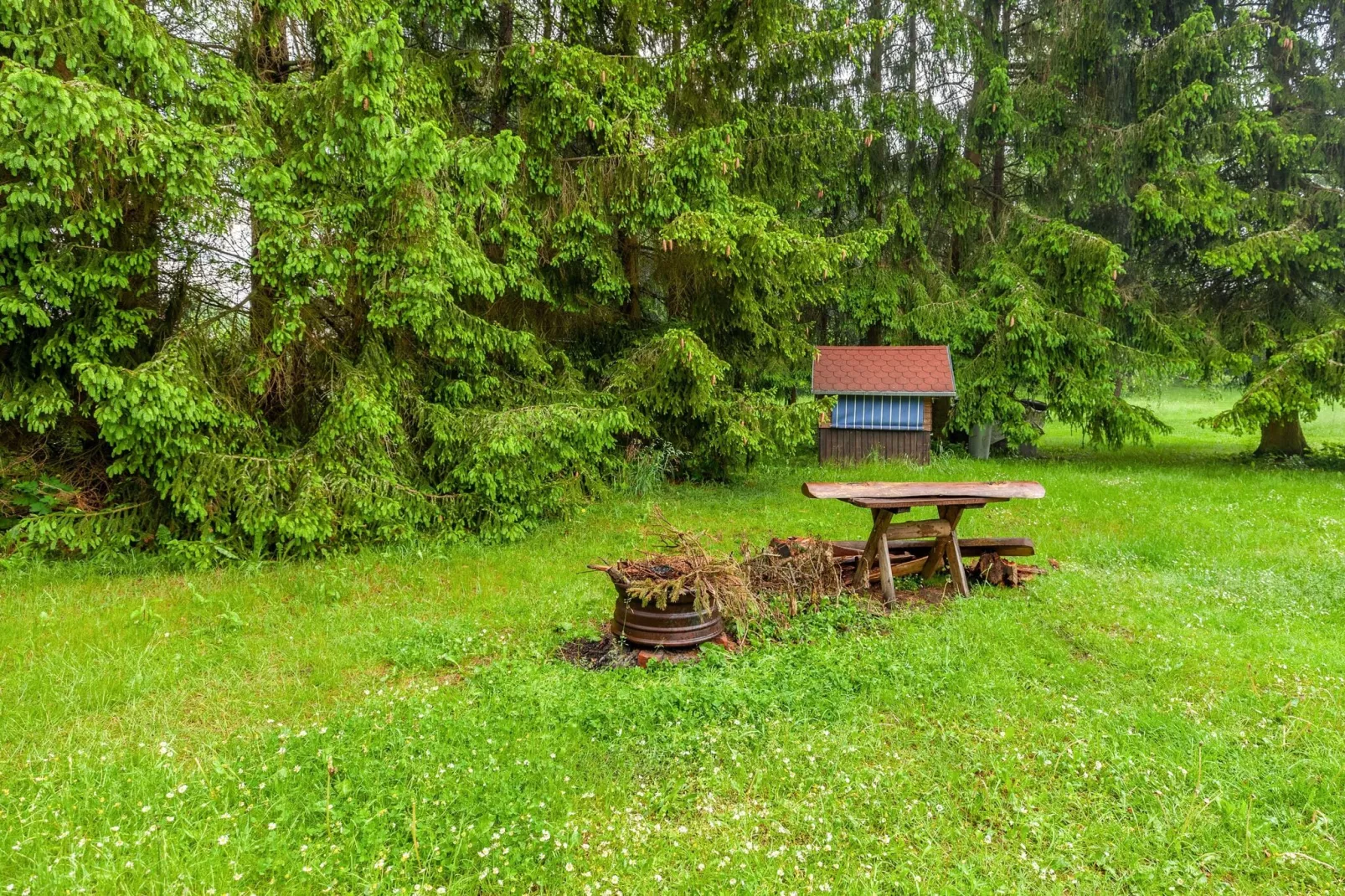 Benneckenstein-Tuinen zomer