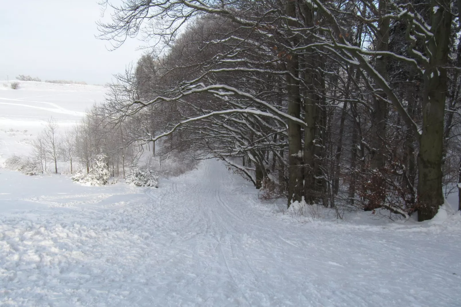 Moni-Gebied winter 5km