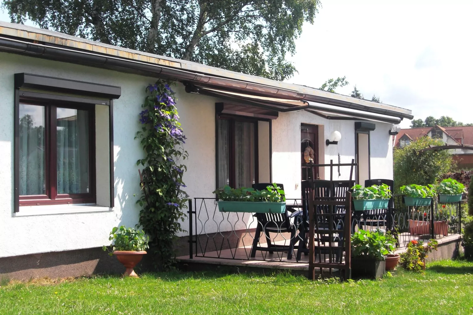 Ferienhaus im Harz-Tuinen zomer