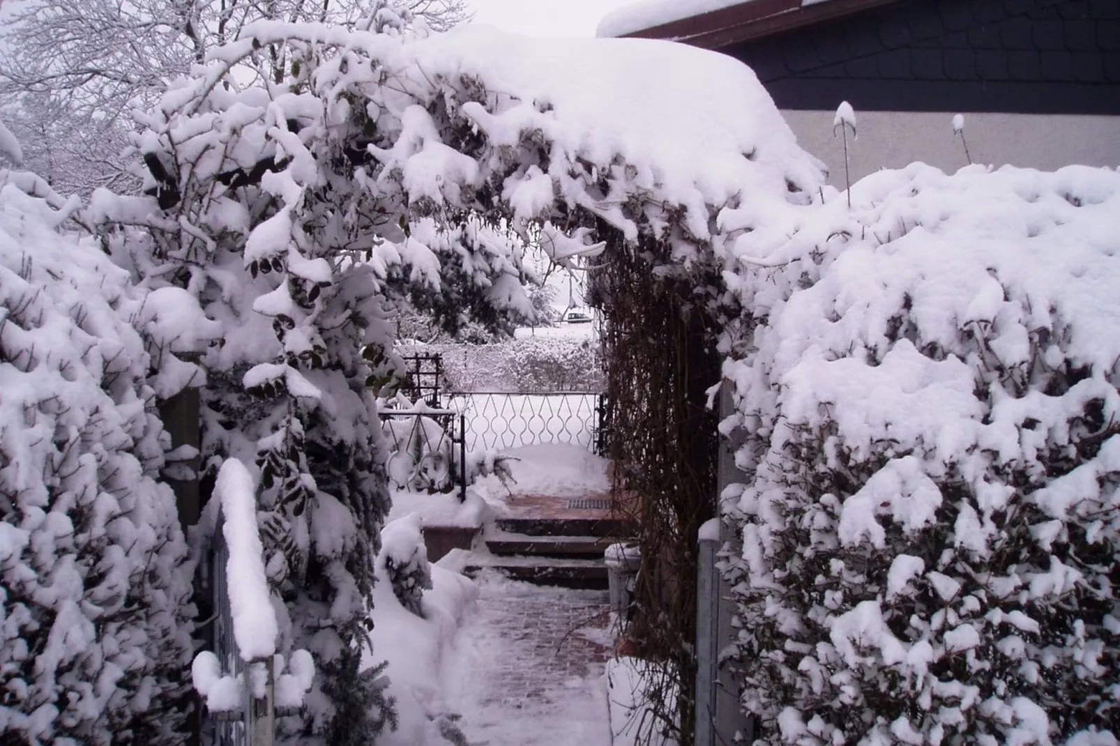 Ferienhaus im Harz-Tuin winter