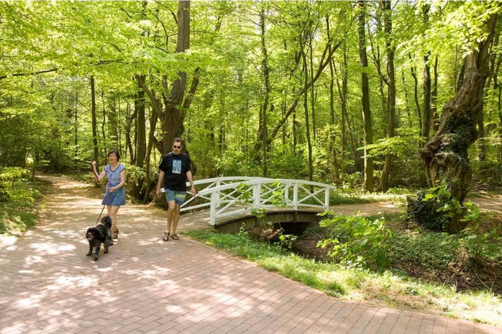 Ferienresort Bad Bentheim 12-Gebieden zomer 20km