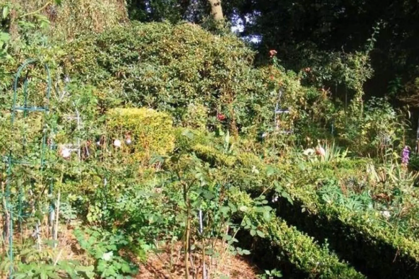 Landhaus an der Hase-Gebieden zomer 1km