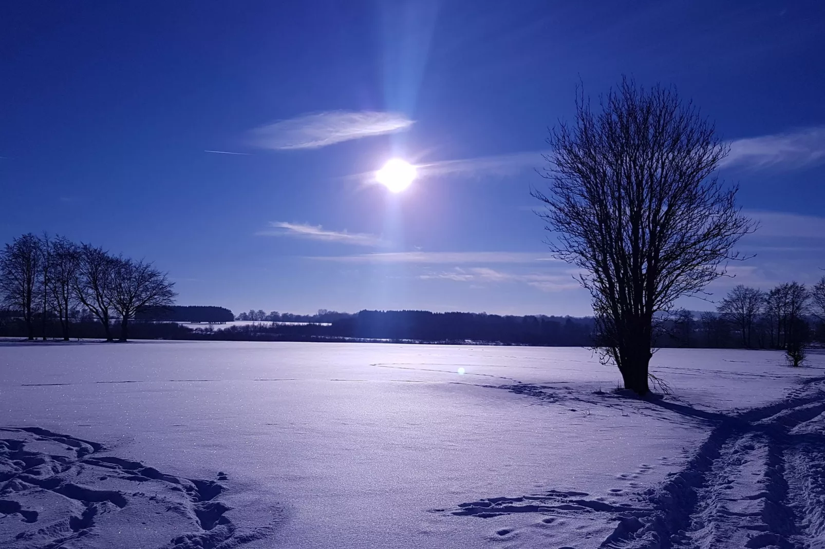 Gut Heistert-Gebied winter 1km