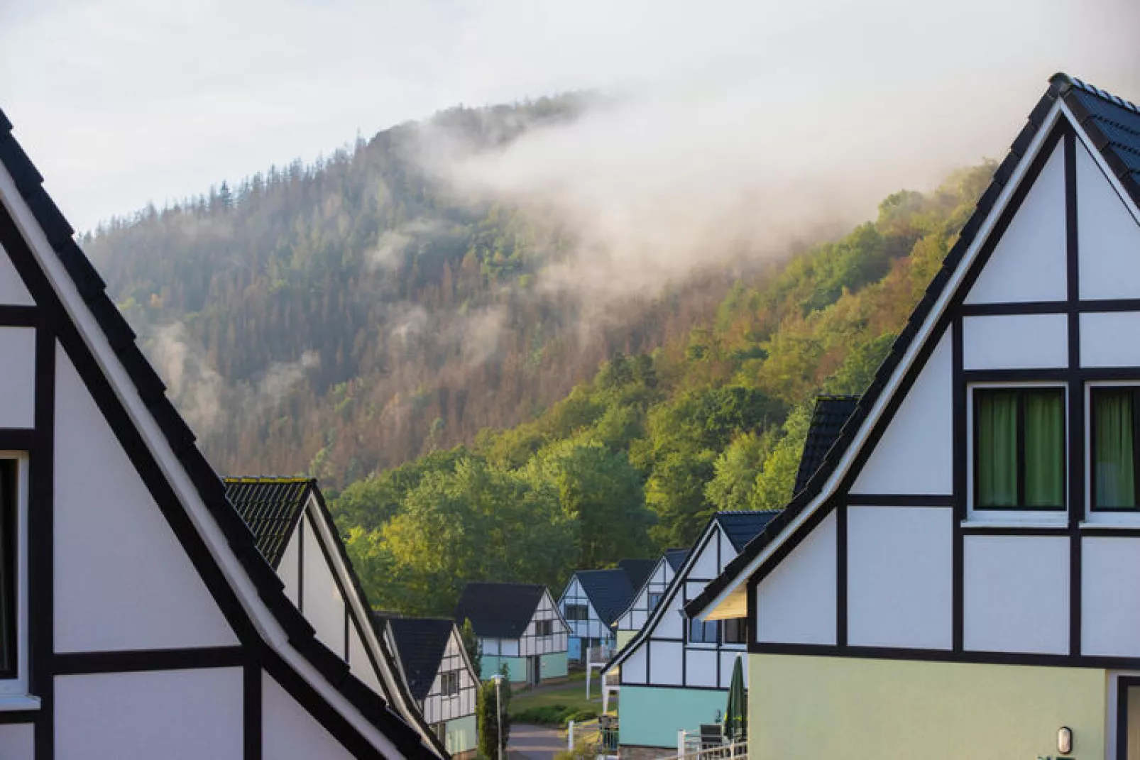 Wittensee Comfort, Eifeler Tor-Gebieden zomer 5km
