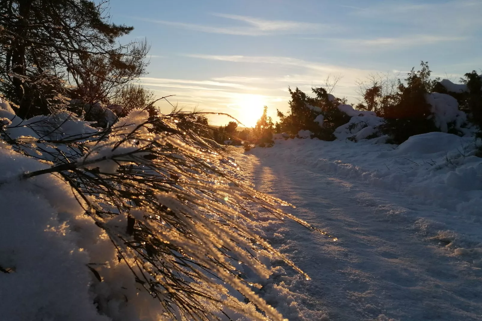 Ferienwohnung Nordschleife Nürburgring-Gebied winter 20km