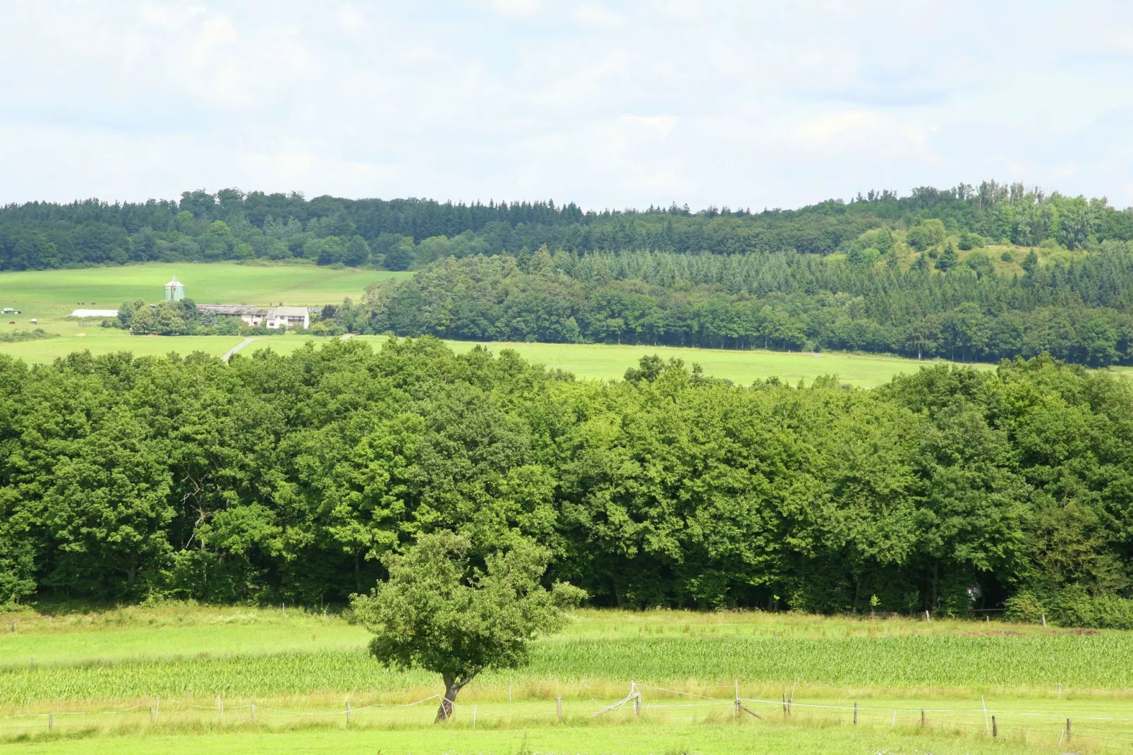 Ferienhaus zum Wäldchen-Gebieden zomer 5km