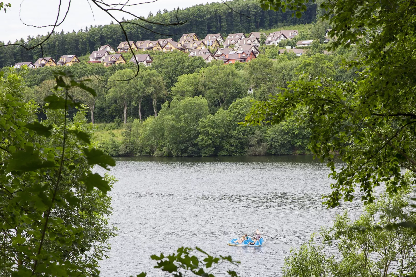 Eifelpark Kronenburger See-Gebieden zomer 1km