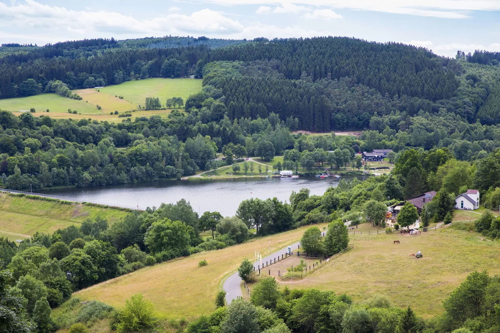 Eifelpark Kronenburger See-Gebieden zomer 5km