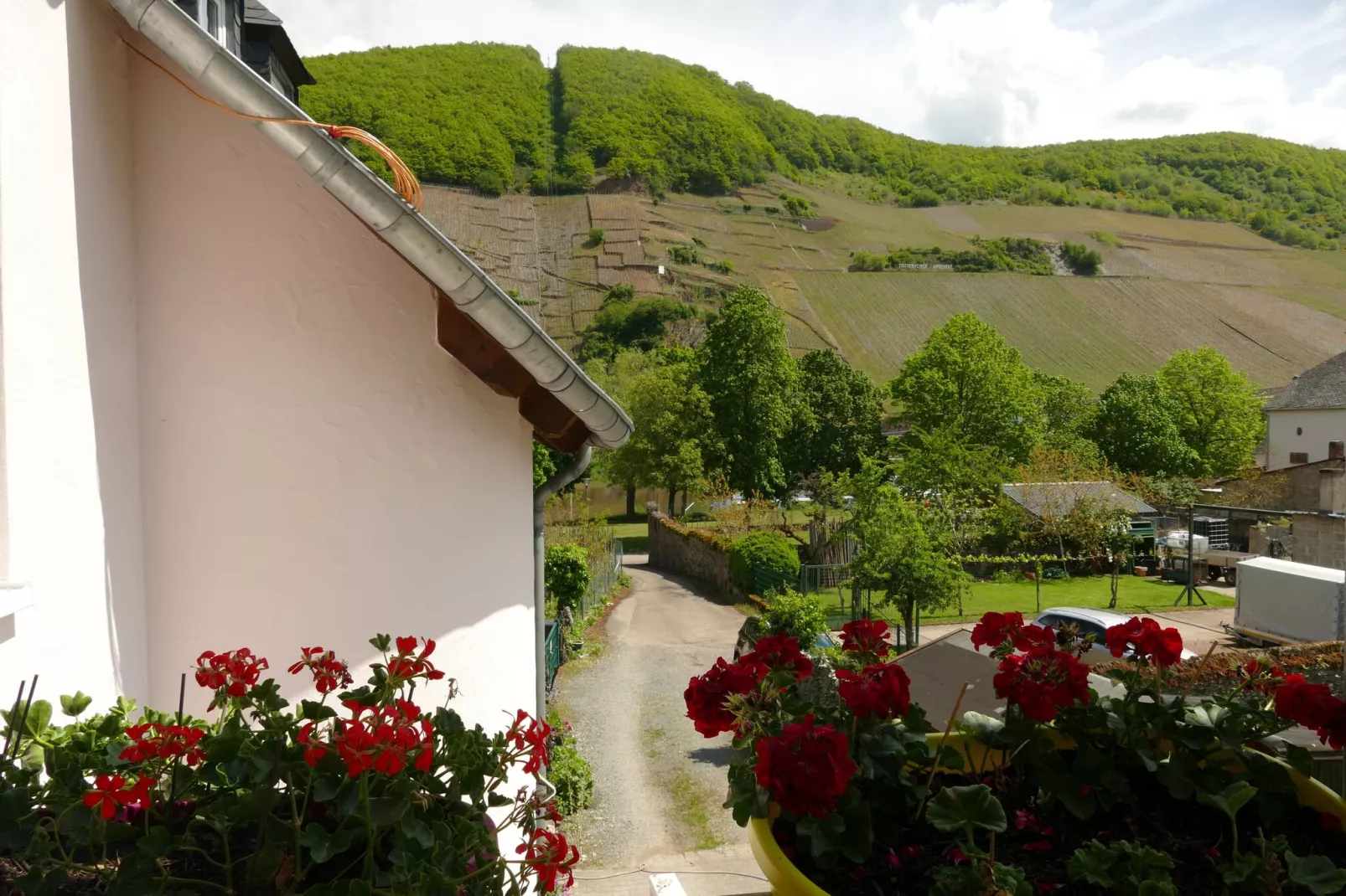 Weingut Tosta - Trittenheim / Ines - Ferien Domizil deluxe-Buitenkant zomer