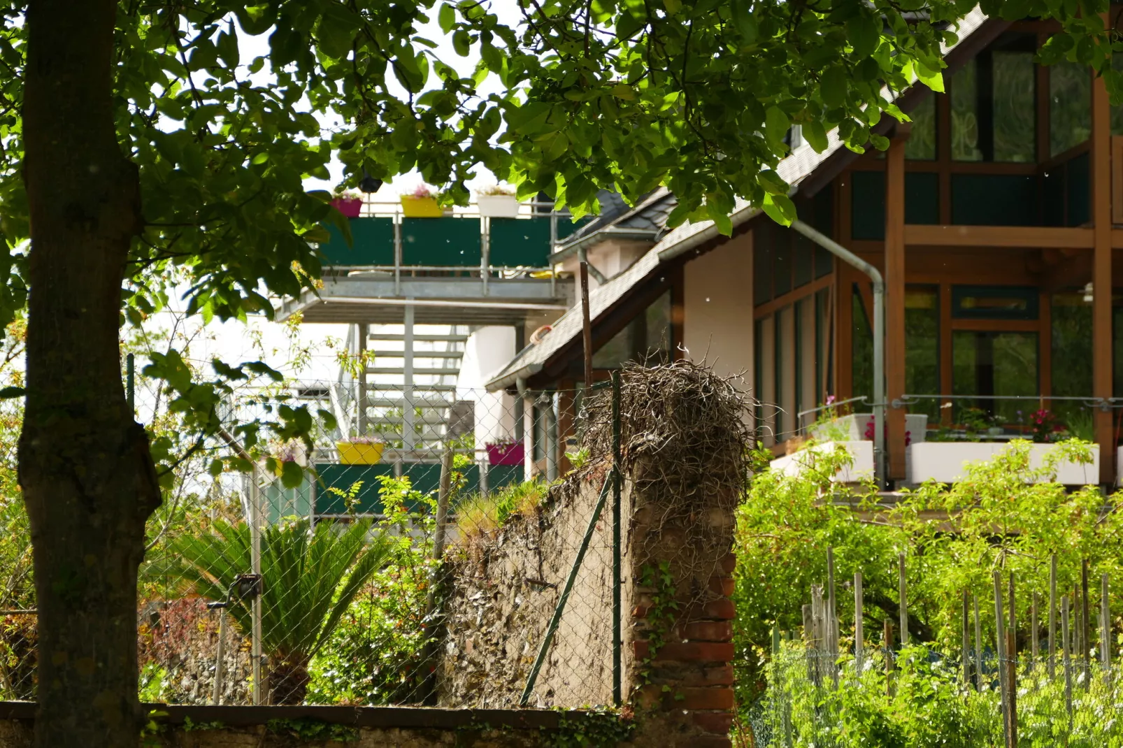 Weingut Tosta - Trittenheim / Ines - Ferien Domizil deluxe-Buitenkant zomer