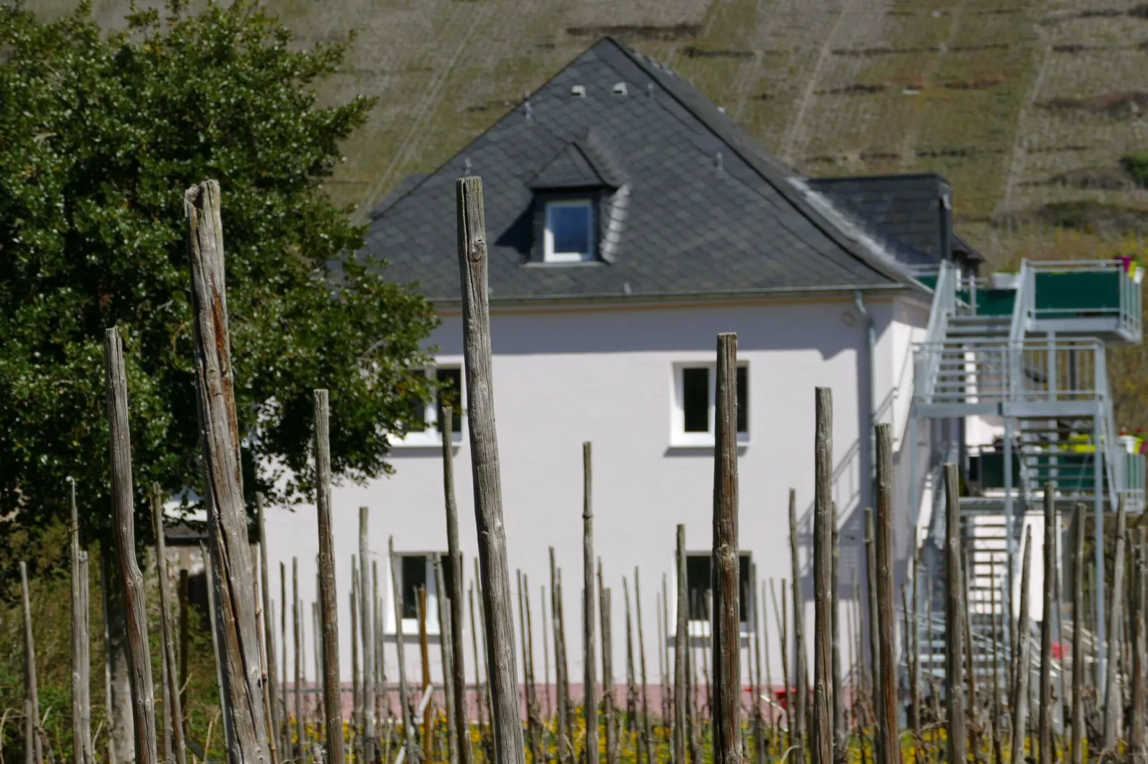 Weingut Tosta - Trittenheim / Ines - Ferien Domizil deluxe-Exterieur winter