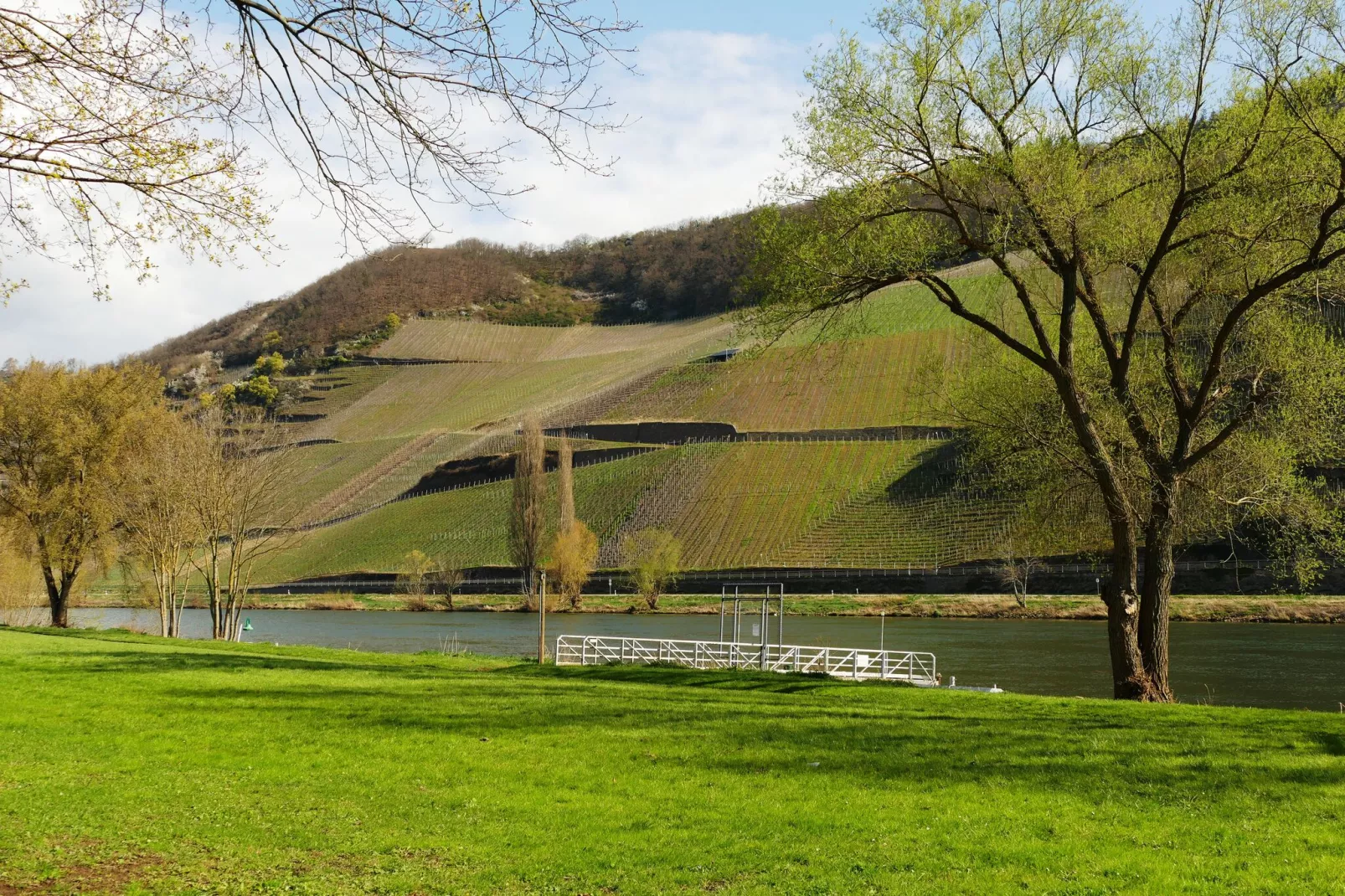 Weingut Tosta - Trittenheim / Ines - Ferien Domizil deluxe-Gebieden zomer 1km