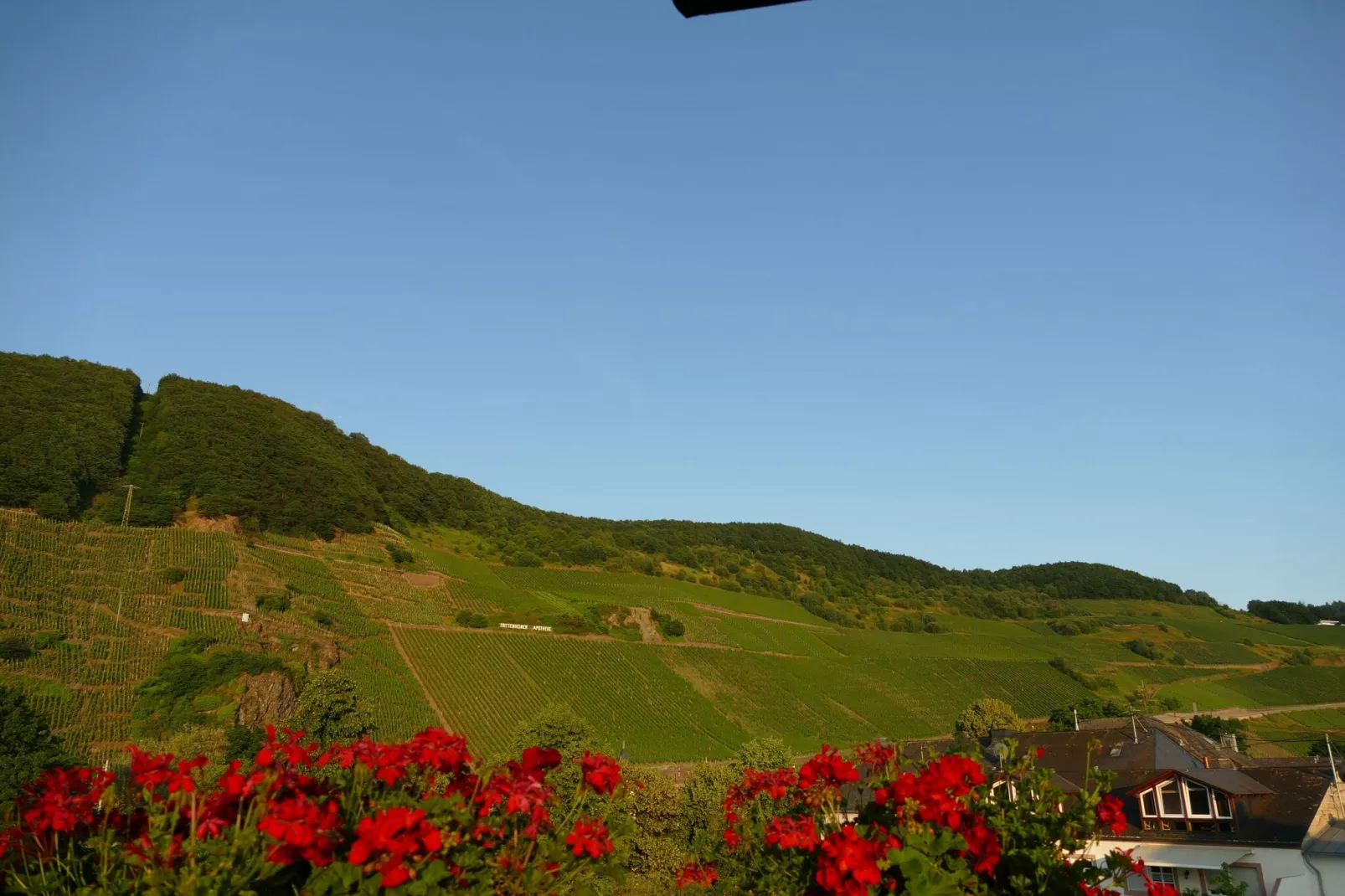 Weingut Tosta - Trittenheim / Katrin- Cara_Mia-Buitenkant zomer